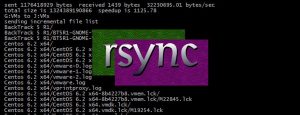 rsync